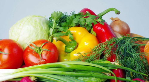 鮮靈靈，水嫩嫩——哪些蔬菜最適宜現(xiàn)摘現(xiàn)吃